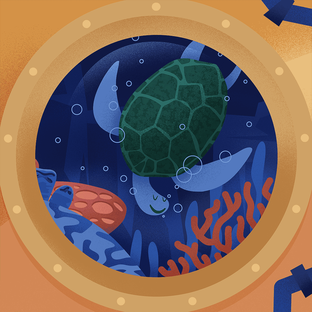 The DSV Loose Change