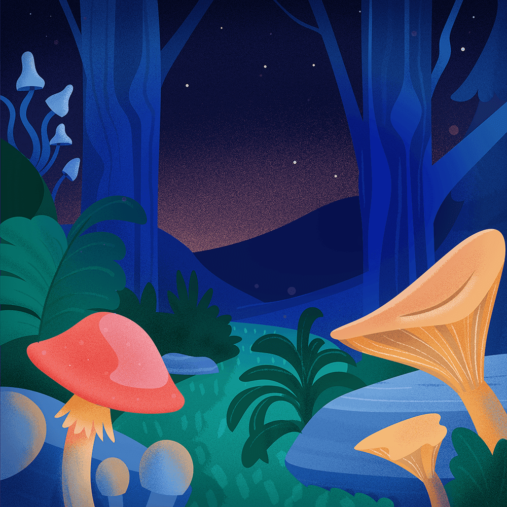 Mushroom Hunting in Saxony