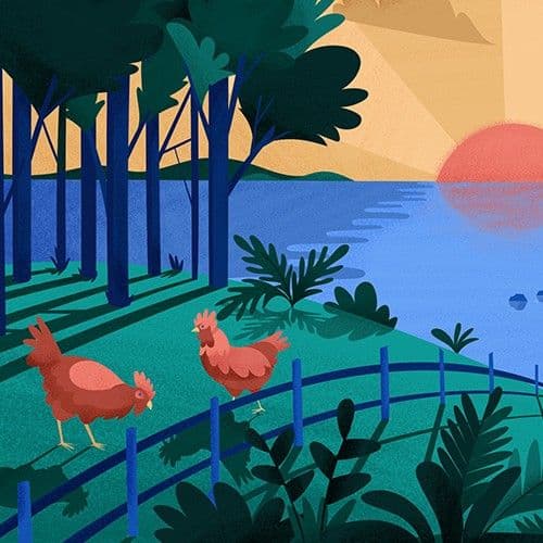 Intro to Morning Meditation